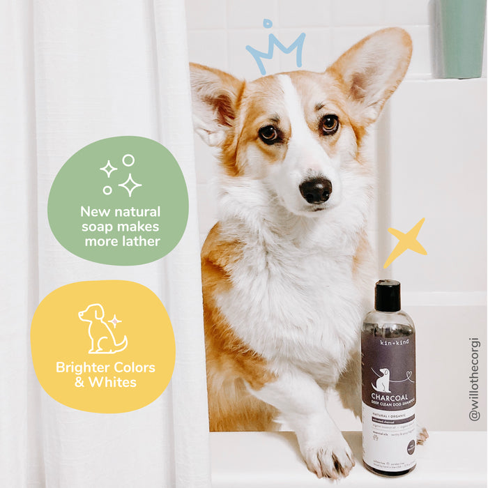 kin+kind Charcoal Deep Clean Shampoo for Dogs | Patchouli