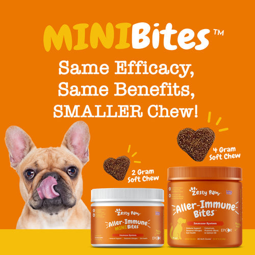 Zesty Paws Aller-Immune Mini Bites™ for Small Dogs (Lamb) | 90ct