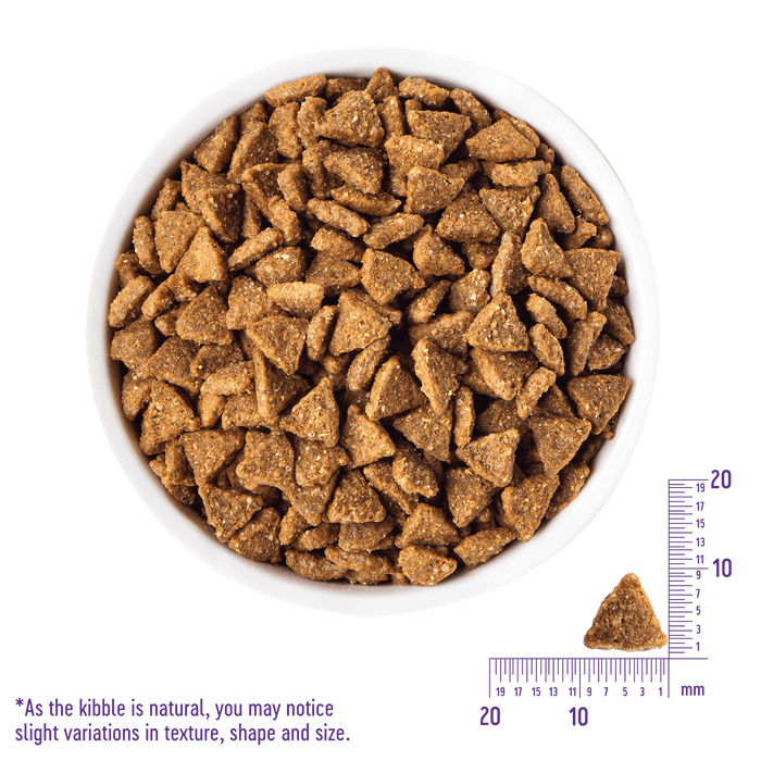 Wellness CORE Grain-Free Original for Small Breeds | 4lb / 12lb